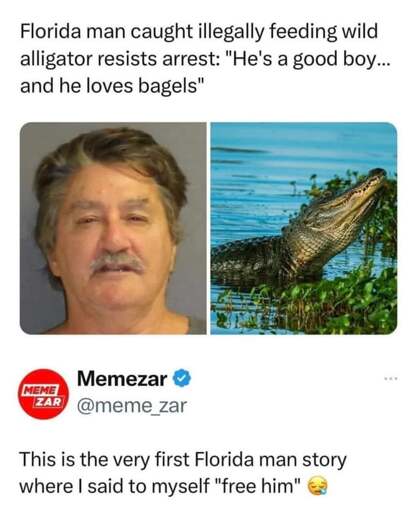 Headline reads: "Florida man caught illegally feeding wild alligator resists arrest: "He's a good boy... and he loves bagels."" to which a commenter responds "This is the very first Florida man story where I said to myself "free him.""