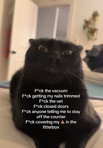 Photo of a black cat with the caption “F*ck the vacuum
F*ck getting my nails trimmed
F*ck the vet
F*ck closed doors
F*ck anyone telling me to stay off the counter
F*ck covering my [poop emoji] in the
litterbox”