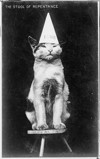 Old (like 1800's old) black and white picture of a scruffy cat sitting on a short stool with a conical hat on it's head with DUNCE written on it. The title in the top left reads "THE STOOL OF REPENTANCE"