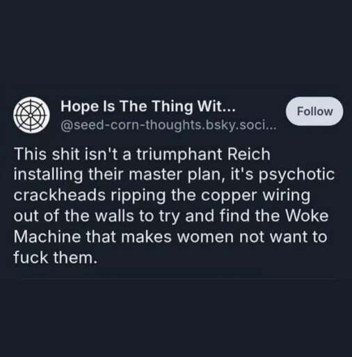 Screenshot where user Hope is the Thing Wit... says: "This shit isn't a triumphant Reich installing their master plan, it's psychotic crackheads ripping the copper wiring out of the walls to try and find the Woke Machine that makes women not want to fuck them."