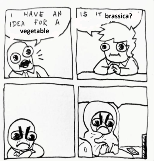 4 panel comic: first panel: a guy says, "I have an idea for a vegetable." Second panel: another guys says, "is it brassica?" Third panel: the first guy has a scowly frown on his face, is looking down, arms crossed. Fourth panel: first guy has same look on his face, now sitting on a couch wrapped up in a blanket.
