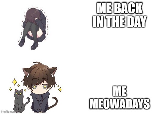 On the top half of the image is a scared Menhera-chan crunched up, shivering. The text next to her reads "Me back in the day." On the bottom half is a content, sparkling catboy Menhera-kun with a black cat sitting next to him. The text next to him reads "Me meowadays."